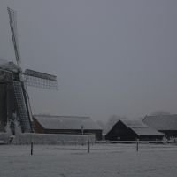 1046.jpg