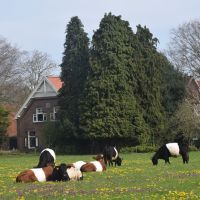 Landhoeve Klein Graffel
